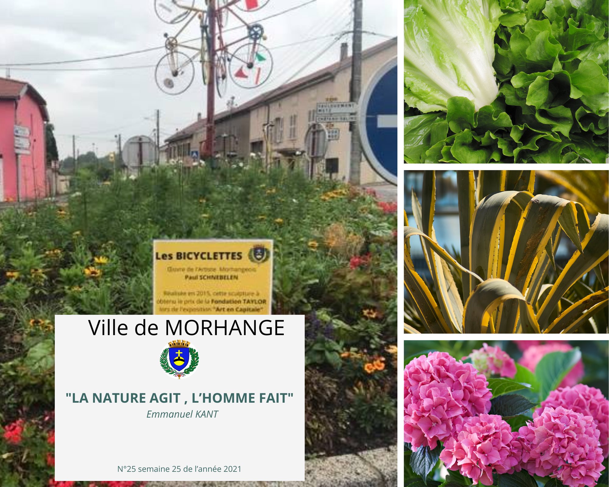 La nature agit, l'homme fait : Semaine 25